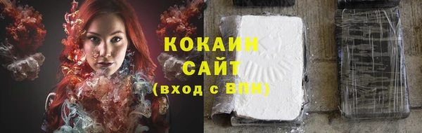 гашик Дмитров