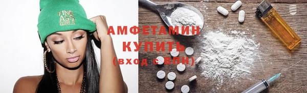 индика Елизово