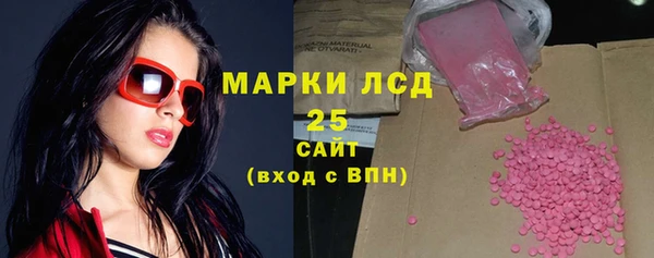 индика Елизово