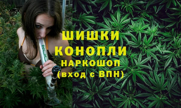 метадон Дмитриев