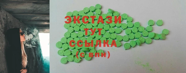 индика Елизово