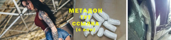 гашик Дмитров