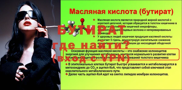 индика Елизово