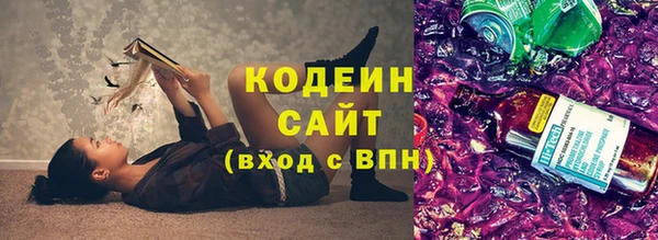 гашик Дмитров