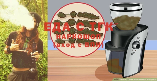 индика Елизово