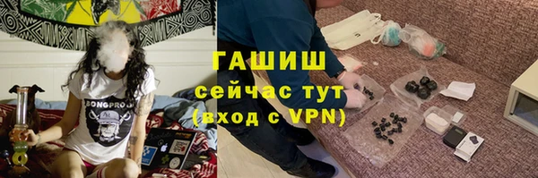 индика Елизово