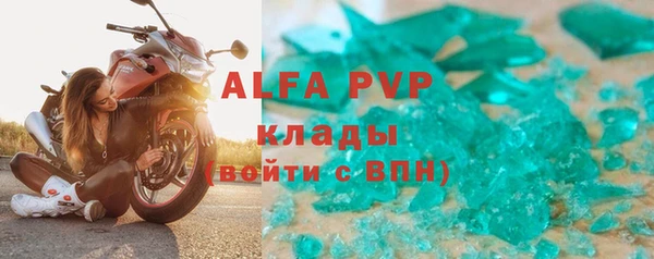 индика Елизово