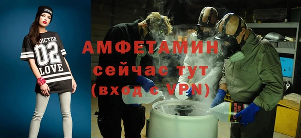 индика Елизово