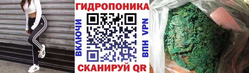 Купить закладки  Себеж  Конопля THC 21% 